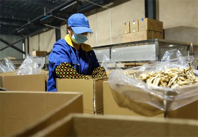 玉屏 市場需求旺，菌棒生產(chǎn)忙，食品互聯(lián)網(wǎng)銷售助農(nóng)增收